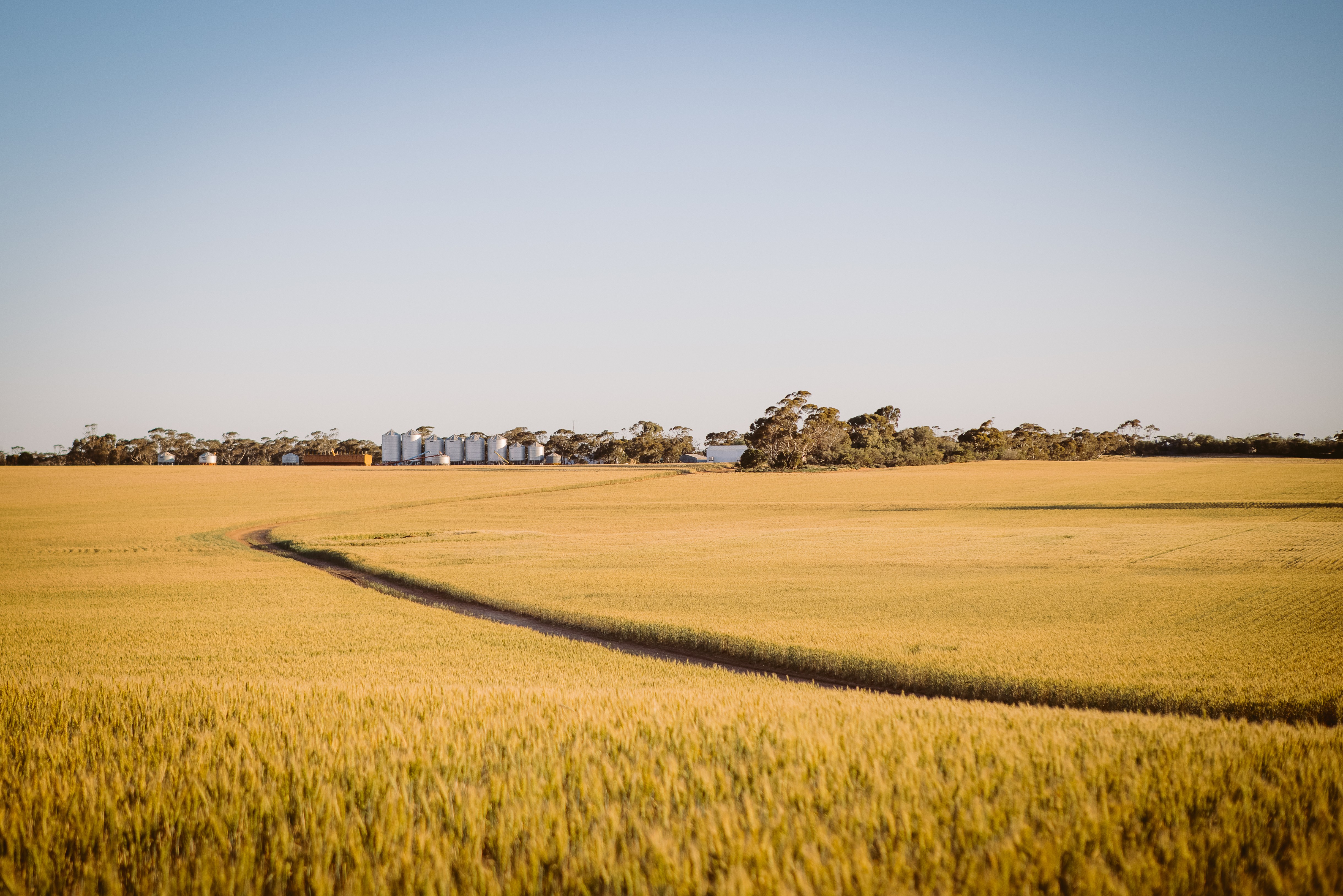 We partner with farmers to make the right decisions.