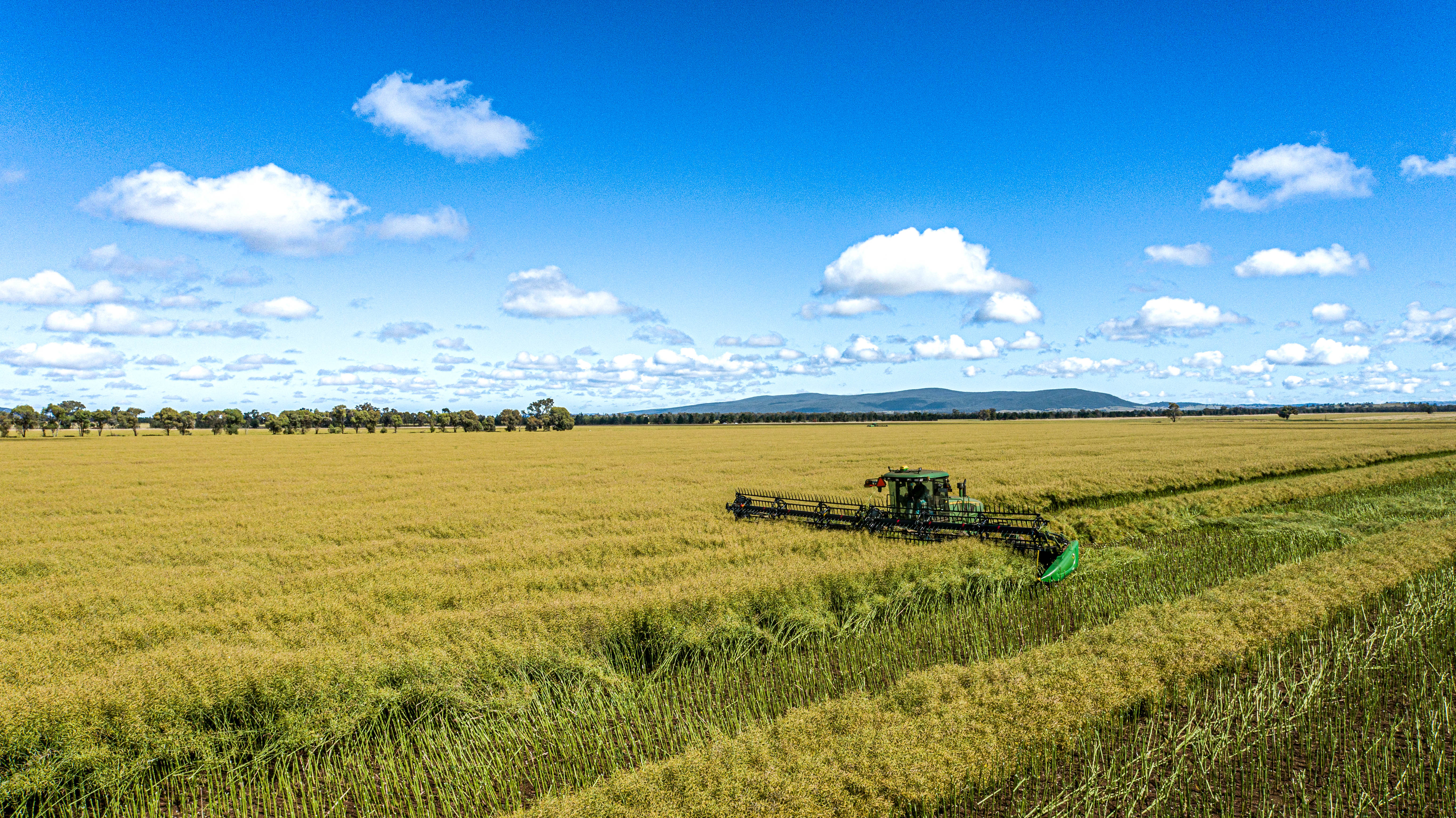 We partner with farmers to make the right decisions.