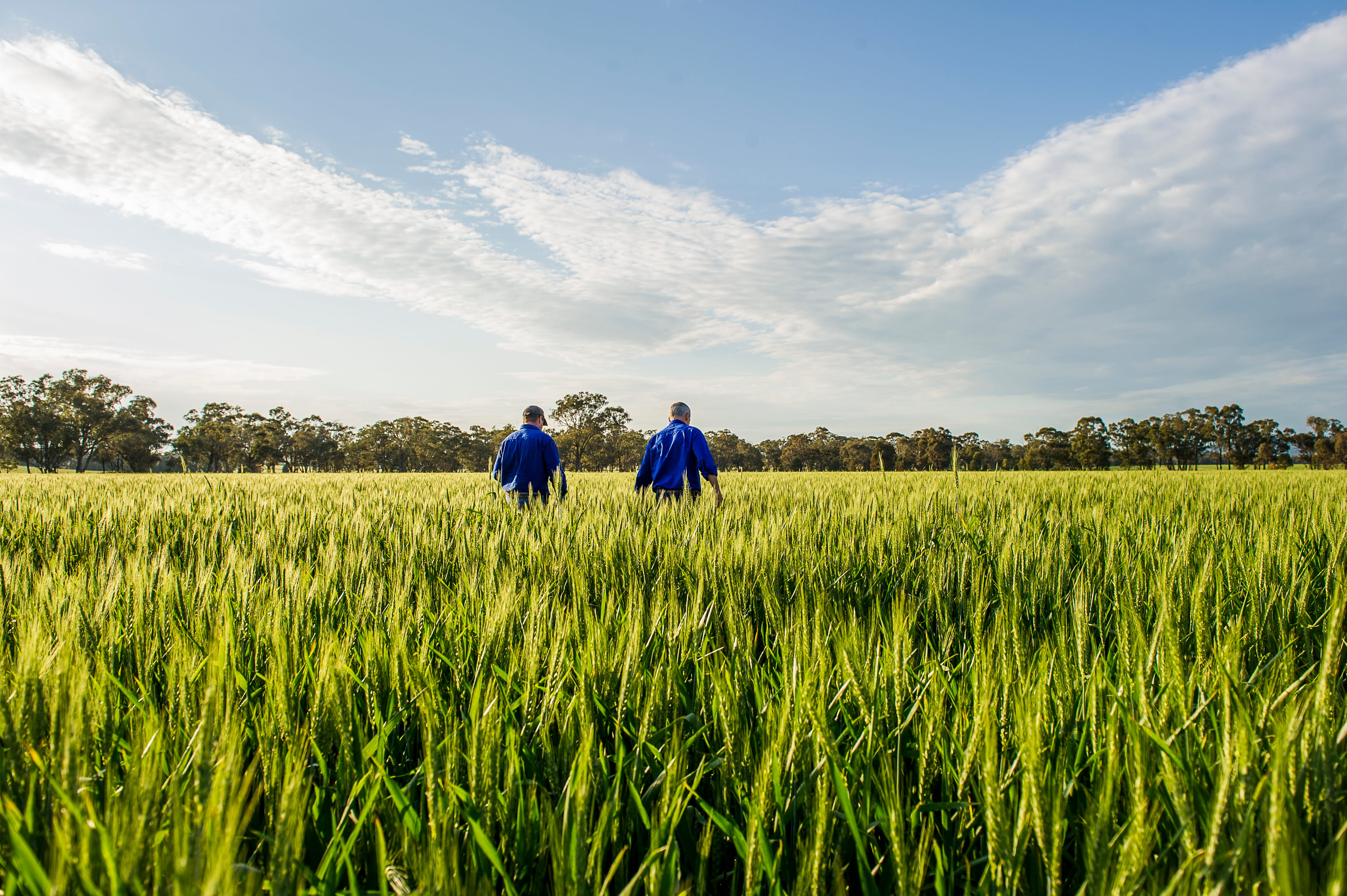 Practical agribusiness solutions tailored to local conditions and industries across South Australia.