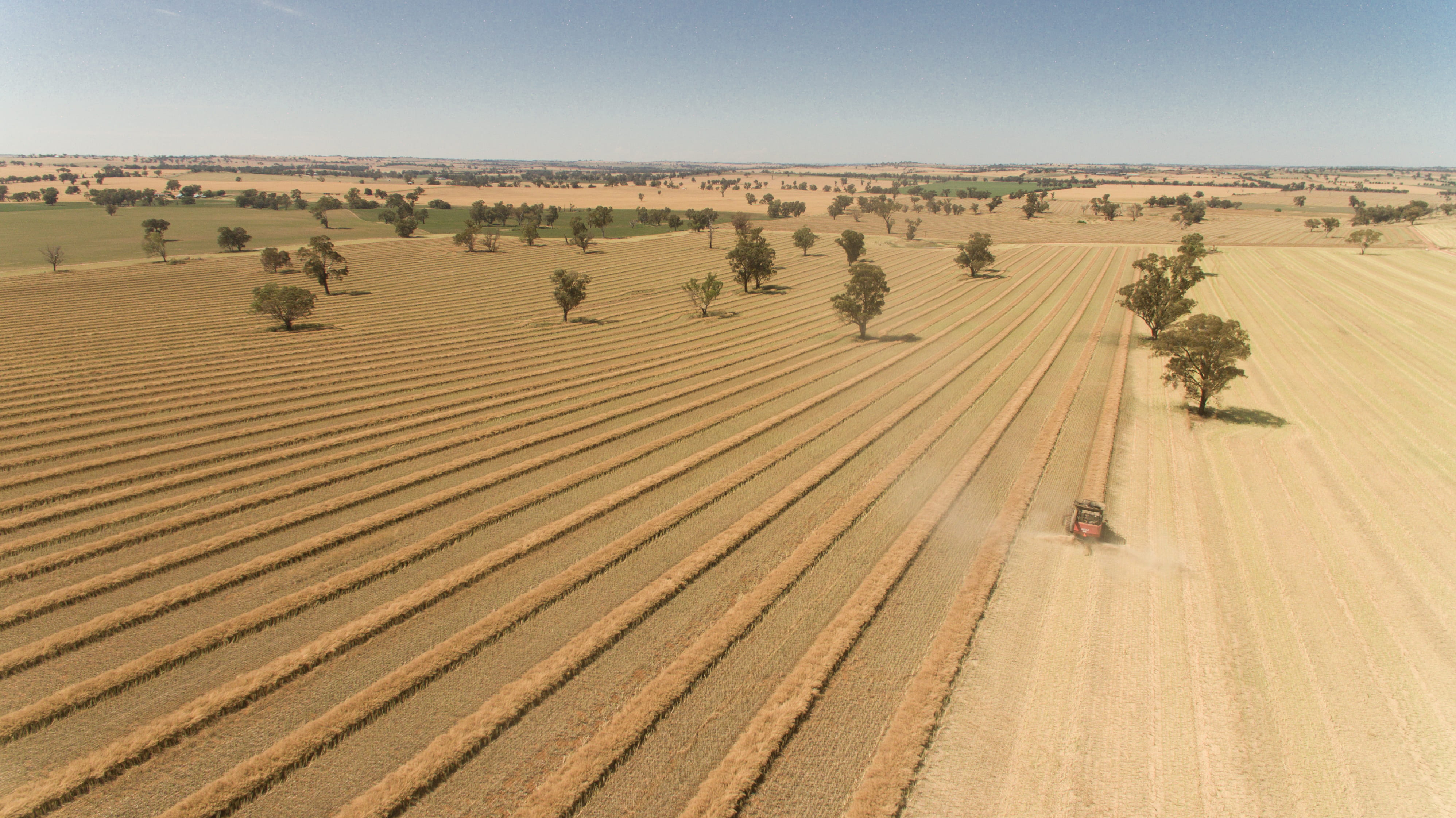 We partner with farmers to make the right decisions.