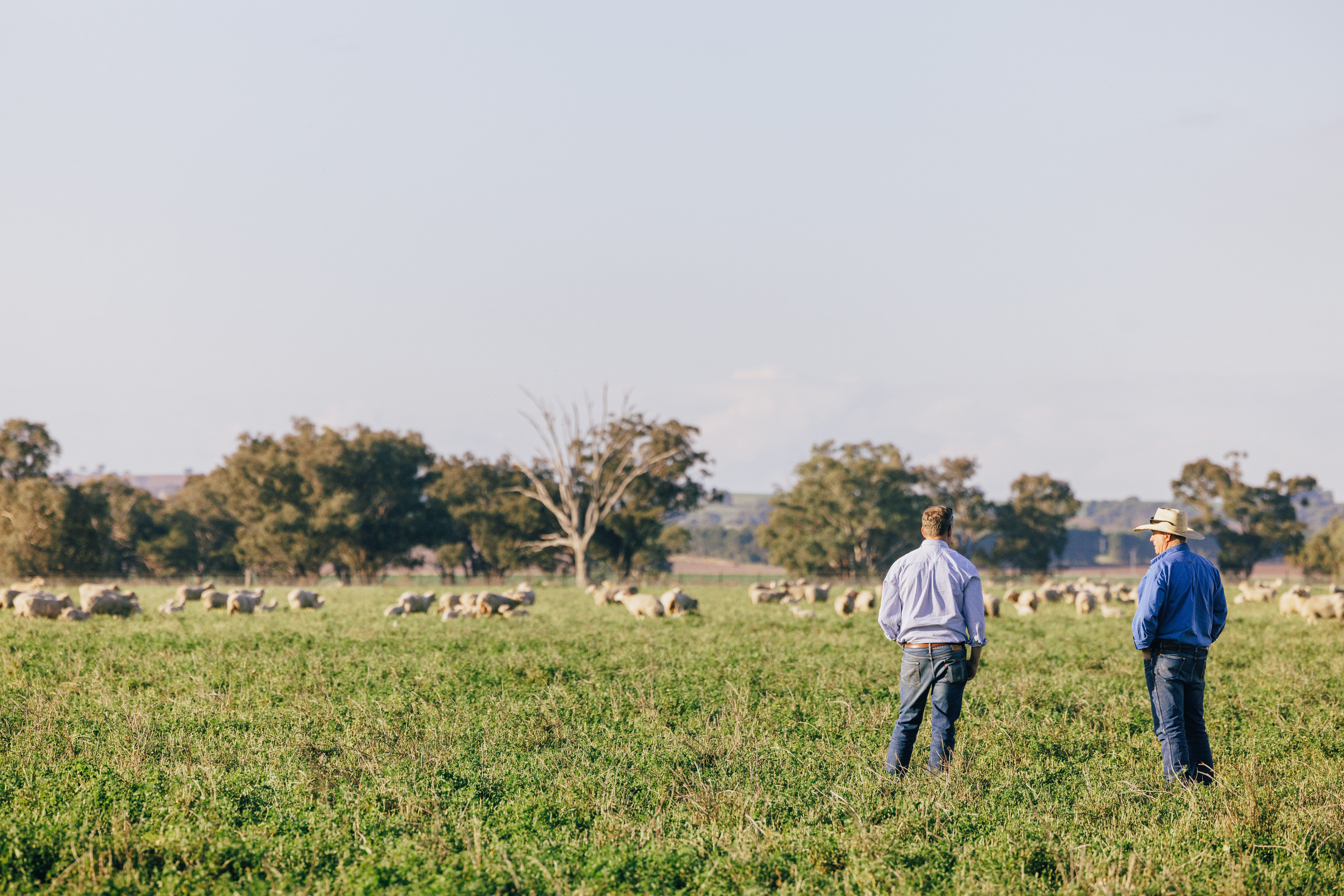 Grow your career with a team committed to agriculture, regional communities, and long‑term impact.